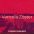 cornisa panamá