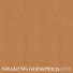 SHAKING GODSPEED