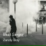Zandy Boy