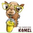 Kamel