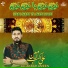 Ali Akbar Ameen