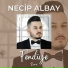 Necip Albay