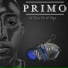 PRIMO