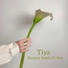 Tiya