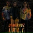Dominhuz