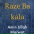 Amin Ullah Marwat