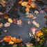 Heavenly Realms