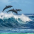 Balearic Sea
