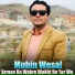 Mubin Wesal