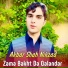 Akbar Shah Nikzad