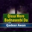 Qadeer Awan