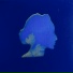 Bleu Zèbre
