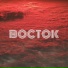 BOCTOK