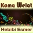 Instrumental (Turk)
