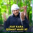 Shafiq Hazarvi