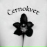 Černokvet