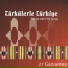 Gülseren Erdağ