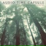 Audio Time Capsule