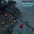 Minorist