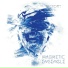 Magnetic Ensemble