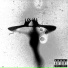 shad33