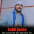 Sabit janan