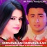 Shahsawar
