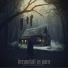 Dreamfall In Vain