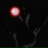 ZOST