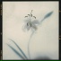T.Check, Zhen
