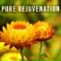 Universal Meditation