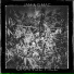 JAM, G Mac
