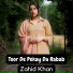 Zahid Khan