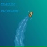 PACEFATTA