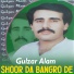 Gulzar Alam