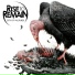 Rise To Remain