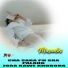 Musadin