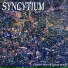 SYNCYSIUM
