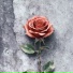 Shadiyar Alim