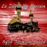 Syed Tazmeen Javed