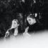 Millie and Sallee, Millie Tizzard, Lunacy