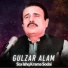 Gulzar Alam
