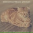 великолепный Музыка для кошек