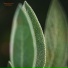 Nometronn