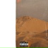 Toungboygui feat. D4nt, Torres