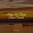 Ready Baby Music!, Ocean Sounds, Tinnitus