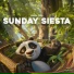 Panda Chill, Panda Lofi, Panda Music