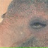 Lilubay