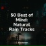 Natural Sounds, Tinnitus Aid, Study Concentration