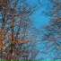 Hoogway